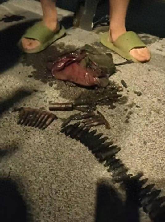 富勒姆 vs 利兹联 | 河边钓鱼钓上来30多枚子弹富勒姆 vs 利兹联,常德武陵警方正调查处理