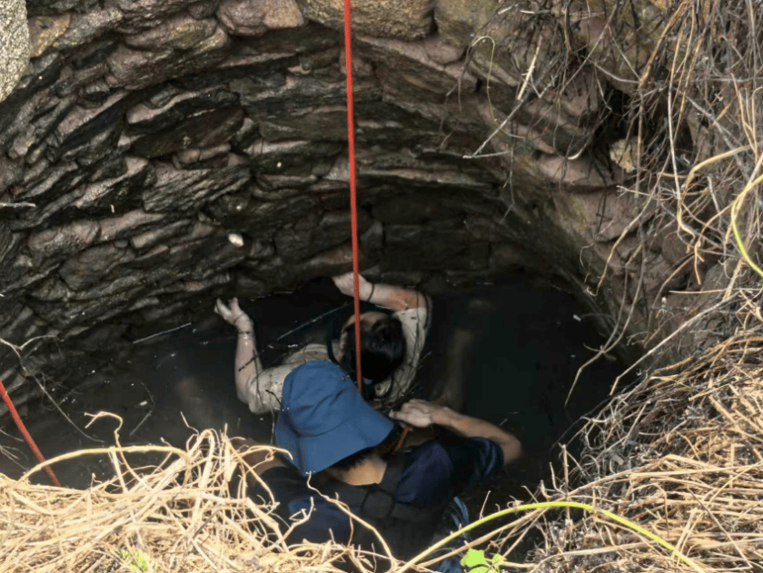 哥斯达黎加甲组联赛_多条蛇缠身哥斯达黎加甲组联赛,女子被咬了也不敢动!深井内苦撑54小时后……