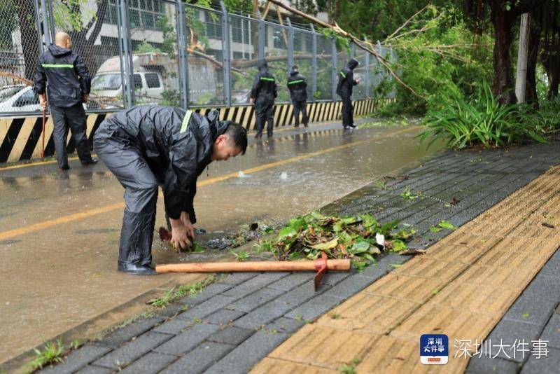 皇冠信用網哪里申请_从“山竹”开始皇冠信用網哪里申请,深圳这家企业每遇台风都组织员工排险清障