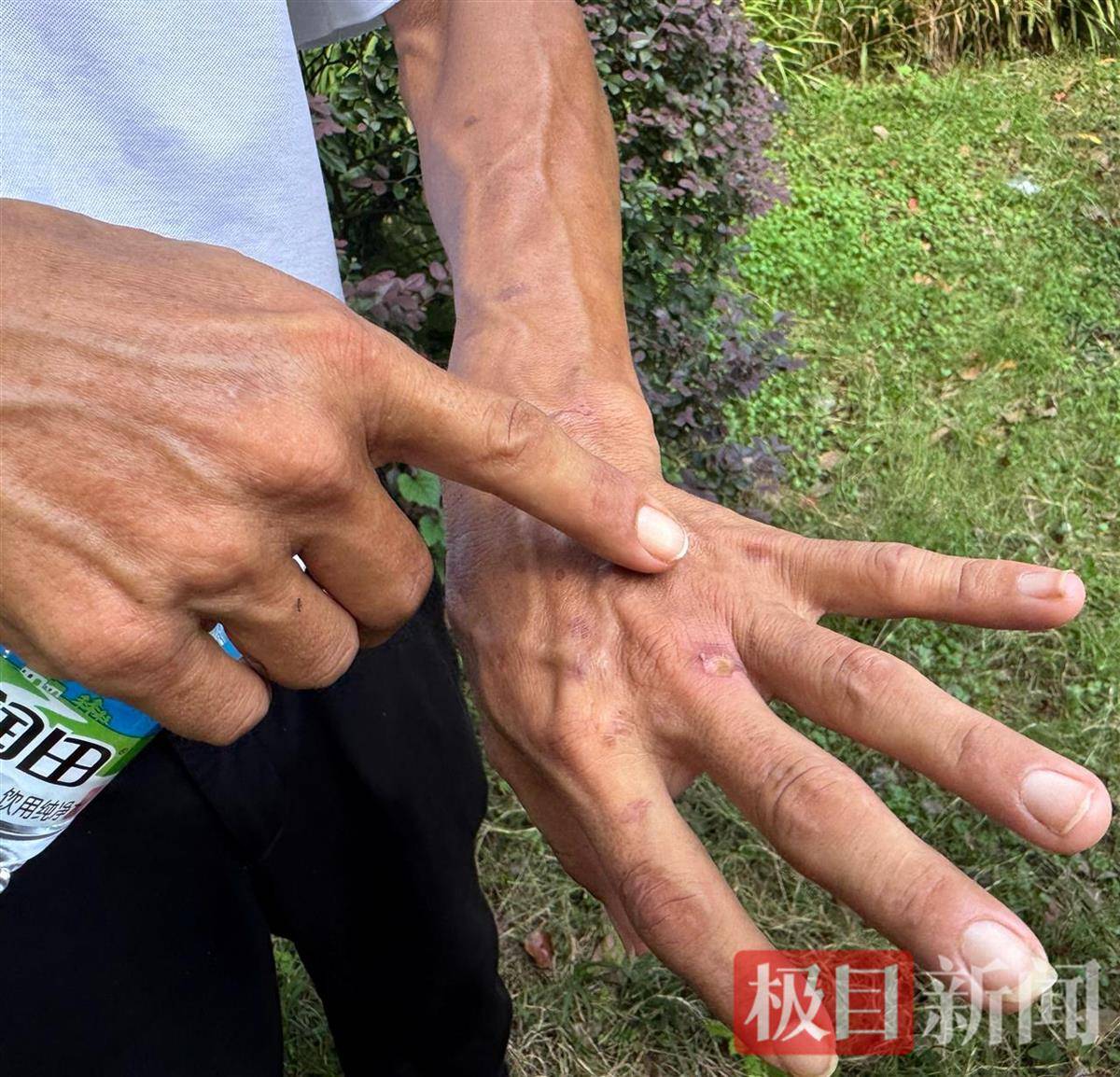 皇冠信用盘APP下载_“鸡排哥”赚得盆满钵满购置多套房产?当事人幽默回应:还没到一个亿皇冠信用盘APP下载,你多来,我才能多卖2份