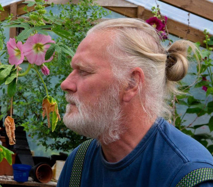 皇冠信用網代理登3_两只雌蚊和一只雄蚊被发现皇冠信用網代理登3,全球最后一个无蚊国冰岛“沦陷”