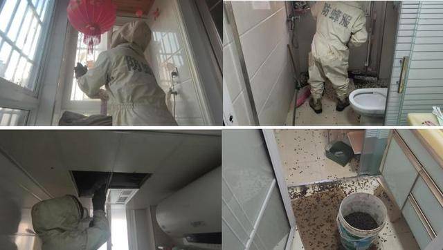 皇冠信用网代理
_惊皇冠信用网代理
!空置两个月的房子竟被蜜蜂当成了 “豪华别墅”